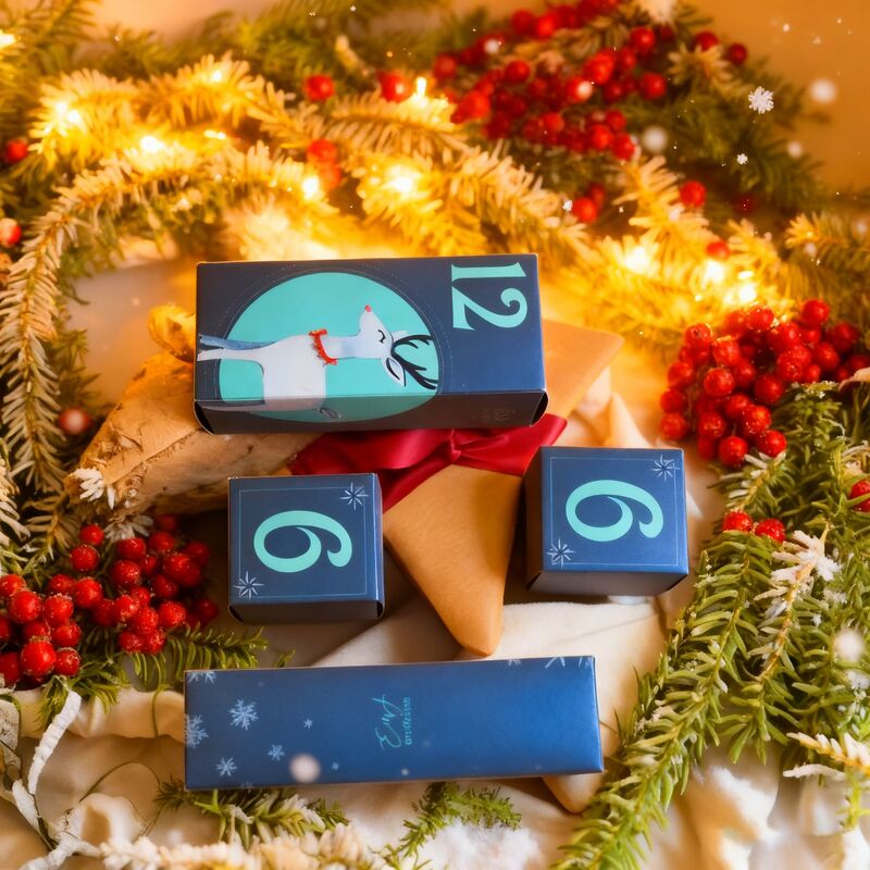 Customizable Red Christmas Festive Cardboard Gift Box with Lid and Base for Wholesale and Retail