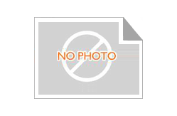 Vibrant Color Printing Personalised Stickers / Custom Sticker Printing With Permanent Adhesive