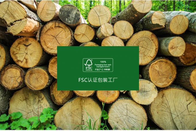 Eco Paper Custom Packaging Solutions Glossy Matt PP Finishing 10